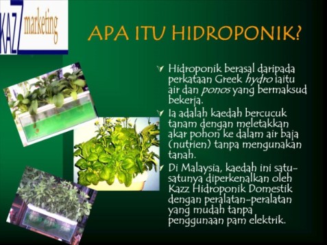 ... tentang penanaman hidroponik | Info Tanaman Hidroponik di Malaysia